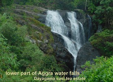 sri-lanka/horton-plains-national-park/attraction/lower-part-of-aggra-falls