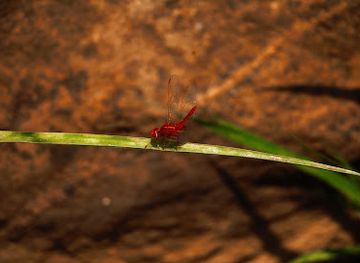 malawi/blantyre/attraction/city-boundary