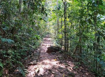 sri-lanka/kandy/attraction/makandawa-conservation-center-makandawa-forest