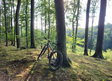 poland/sopot/attraction/zawrotka