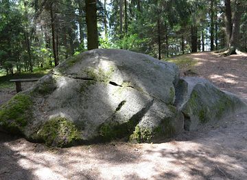 lithuania/anyksciai-treetop-walking-path/attraction/puntuko-brolis