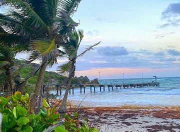 barbados/south-coast/attraction/skeetes-bay