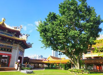 singapore/pulau-semakau/attraction/the-sacred-bodhi-tree