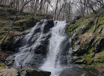 virginia/skyline-drive/attraction/jones-run-falls-trailhead