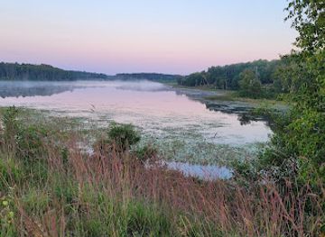 minnesota/red-river-valley/attraction/buena-vista-state-forest