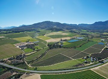 south-africa/cape-winelands/attraction/bosman-family-vineyards-lelienfontein-farm-wellington-south-africa