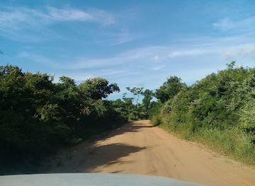 tanzania/coastal-zone/attraction/pande-game-reserve