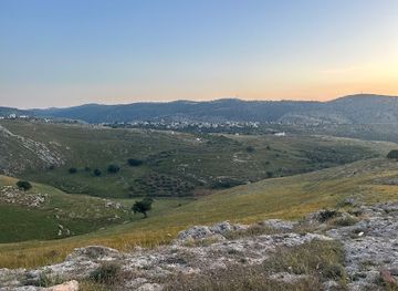 jordan/ajloun-castle/attraction/makshat-wadi-al-riyan-atlalat-jameela