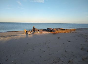 delaware/the-delaware-bayshore/attraction/beach-plum-island-nature-preserve