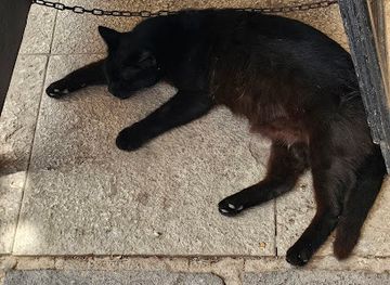 malta/marsamxett-harbour/attraction/mitsos