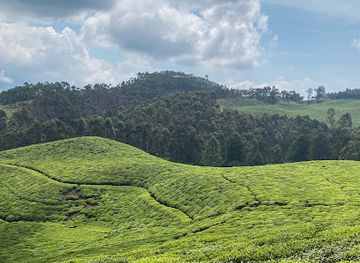 tanzania/mahale-mountains-national-park/attraction/nakuja-expeditions-limited-luxury-african-safaris