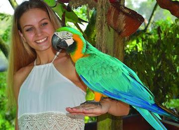 australia/port-douglas/attraction/birdworld-kuranda