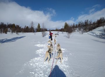 norway/rondane-national-park/attraction/snohetta-husky-as