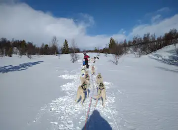 Snøhetta Husky AS