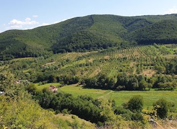 romania/hunedoara/attraction/casa-vulcanilor-vizite-doar-cu-programare