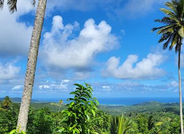 barbados/bridgetown/attraction/barbados