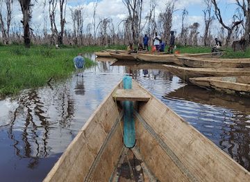 tanzania/lake-manyara-national-park/attraction/lakeside-manyara