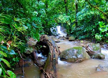 costa-rica/osa-peninsula/attraction/magical-mogos-waterfalls