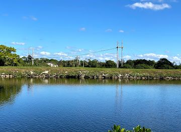 florida/nature-coast/attraction/mobbly-bayou-wilderness-preserve
