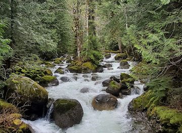 washington/mount-baker-snoqualmie-national-forest/attraction/iron-goat-martin-creek-trailhead