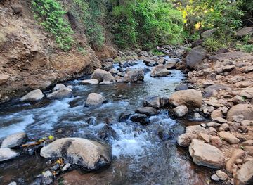 tanzania/lake-zone/attraction/mto-wa-mbu-river