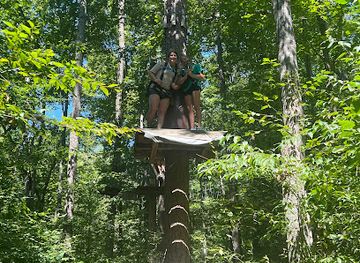 kentucky/mississippi-plateau/attraction/treetop-adventure-at-levi-jackson