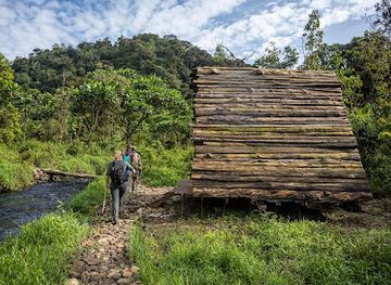 rwanda/nyungwe-forest-national-park/attraction/nyungwe-national-park-rwanda