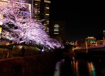 japan/tokyo/attraction/benkei-bridge
