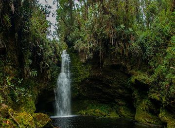 colombia/narino/attraction/parque-nacional-cueva-de-los-guacharos