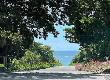 japan/ishigaki-island/attraction/oyakeakahachinodozou