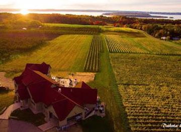 michigan/traverse-city/attraction/bonobo-winery