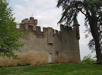 france/aquitaine/attraction/huitres-fossiles