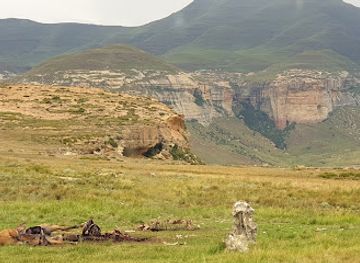 south-africa/golden-gate-highlands-national-park/attraction/vulture-hide-golden-gate