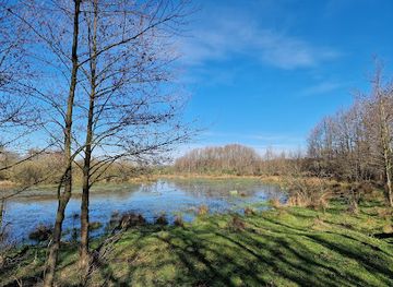 netherlands/overijssel/attraction/witte-veen