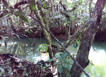 palau/airai/attraction/ngermeskang-bird-sanctuary