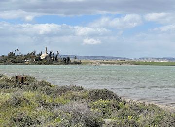 cyprus/larnaca-salt-lake/attraction/flamingo-observatory-spot