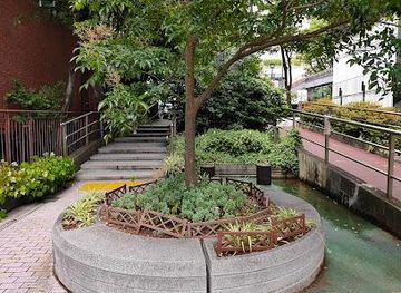 japan/tokyo/attraction/cat-st