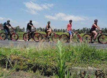 indonesia/bali/attraction/bali-e-bike-tours-touring-bike-in-ubud