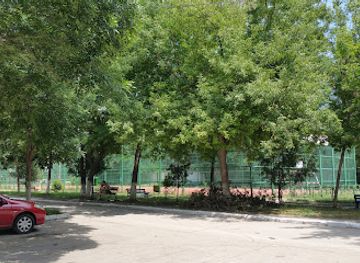 romania/calarasi/attraction/children-s-park-victoria