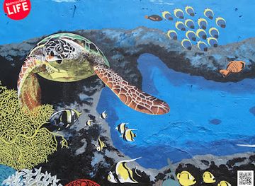 malaysia/kuala-terengganu/attraction/marine-conservation-graffiti