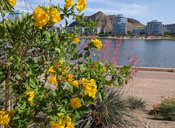 arizona/tempe/attraction/tempe-town-lake