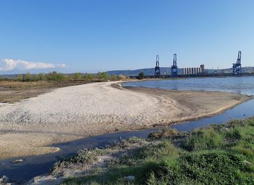 slovenia/littoral/attraction/pokopalisce-skoljk