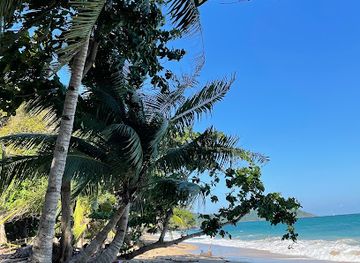 mayotte/plage-de-saziley/attraction/n-gouja