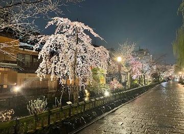japan/kyoto/attraction/shirakawa-canal