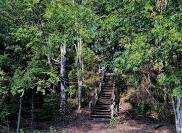 mississippi/tombigbee-national-forest/attraction/ingomar-mounds