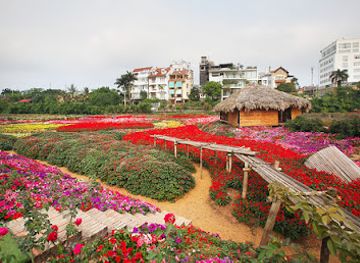 vietnam/hanoi/tay-ho-district/attraction/thung-lu-ng-hoa-ho-tay