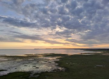 estonia/laane-county/attraction/haeska-linnuvaatlustorn