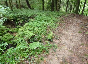 luxembourg/mullerthal/attraction/loschbur-hill-with-stairs-and-small-mire