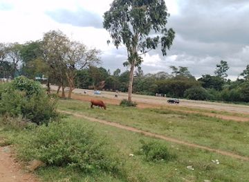 kenya/kitale/attraction/kitale-museum-nature-walk