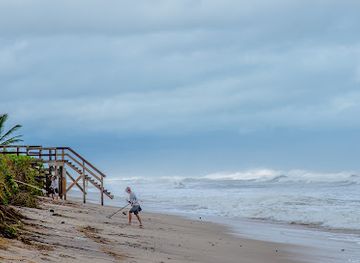 florida/sebastian-inlet-state-park/attraction/sebastian-inlet-state-park-hammock-trail